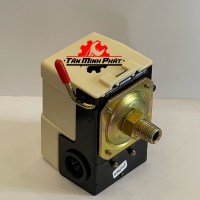 Rơ Le Máy Nén Khí Điện 220V